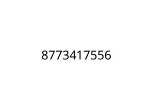 8773417556