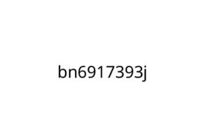 bn6917393j