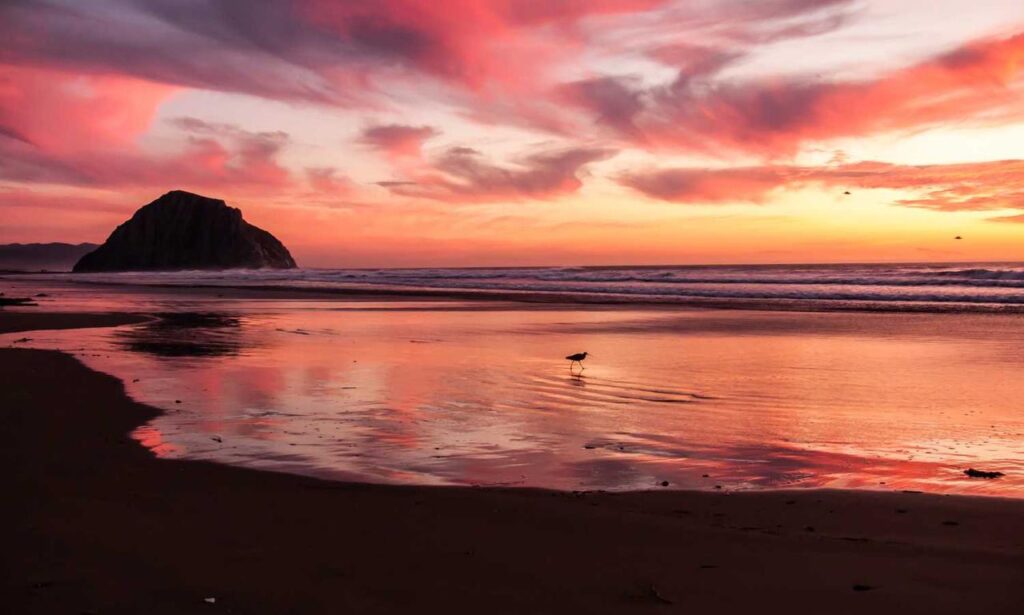 dropbox 8737.idj.029.22