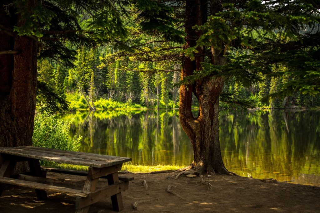 bench, lake, park, recreational area, landscape, trees, woods, woodlands, forest, outdoors, water, nature, scenic, wooden bench, picnic table