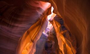 update software bvostfus python