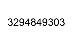 3294849303