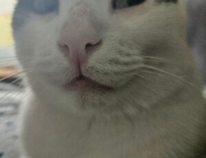 if you look someone up on instagram will they know