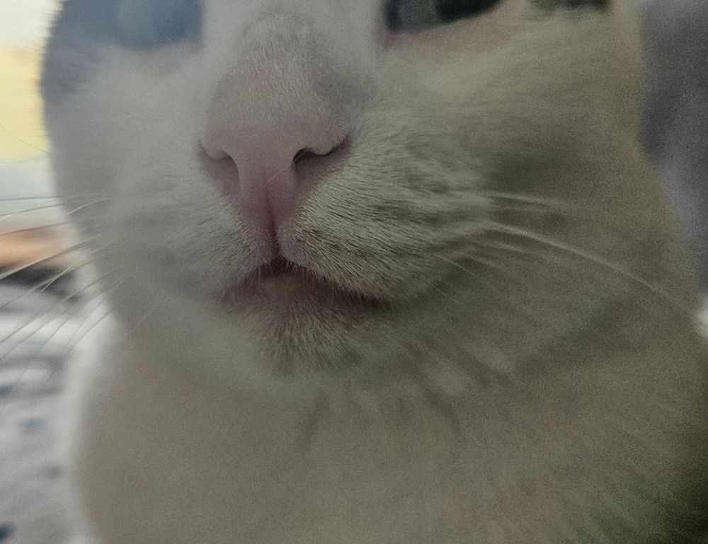 if you look someone up on instagram will they know