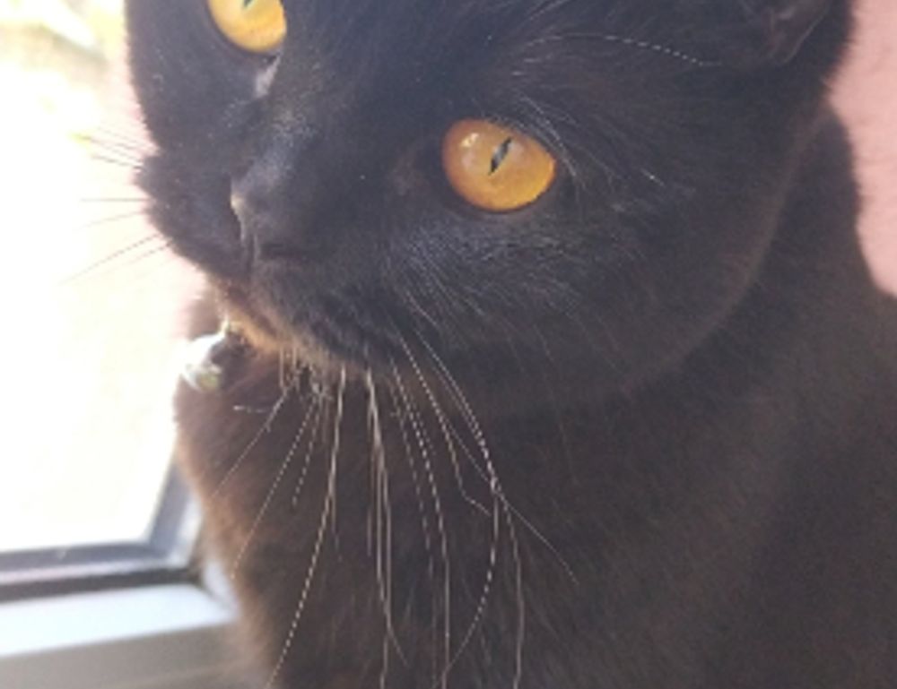 is 2.6 ghz good for a laptop