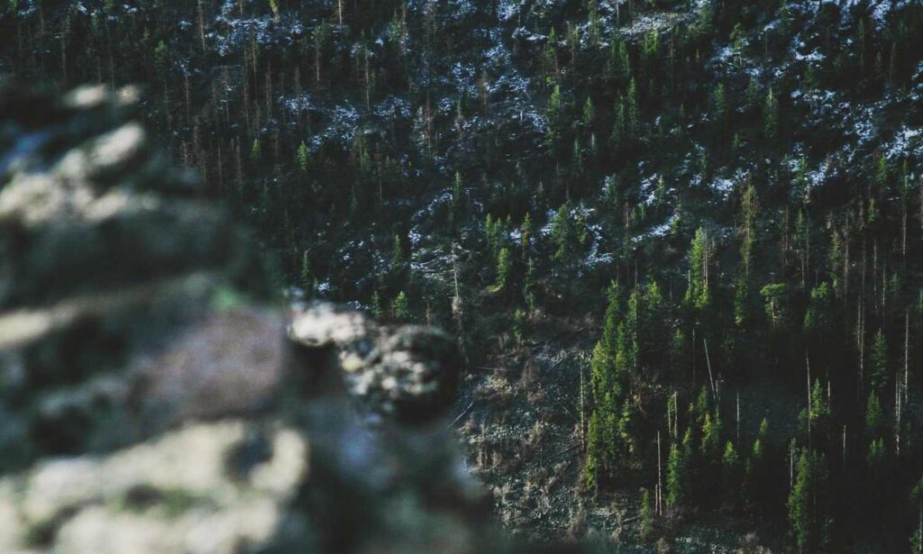 joint staff no fear act training course pretest