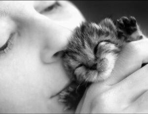 karaoke songs for high female voices