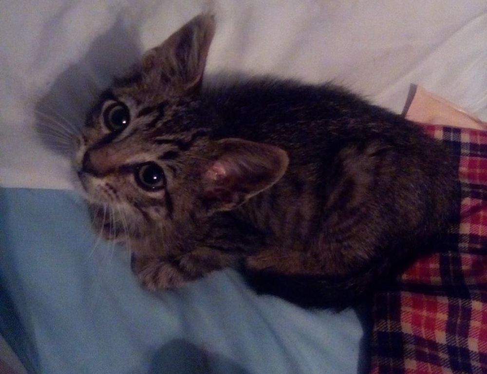 lake tahoe to san francisco distance