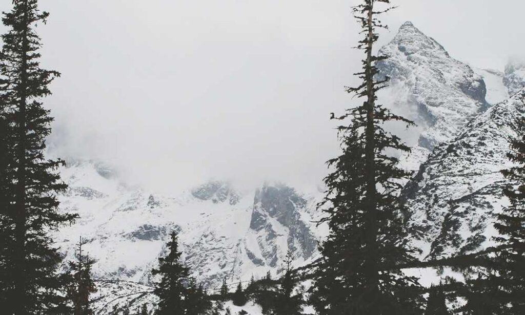 layered double chin round face medium length hairstyles