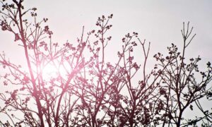 layered low maintenance medium length hairstyles for thick hair