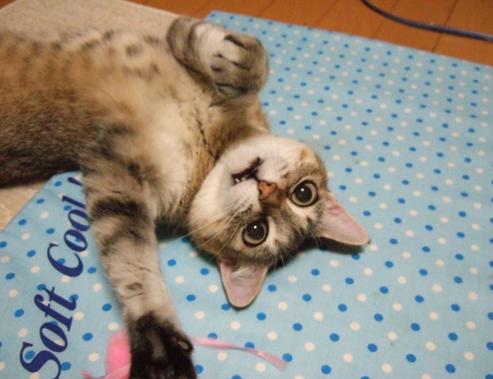 layers for medium length fine hair