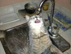 list louise penny books in order