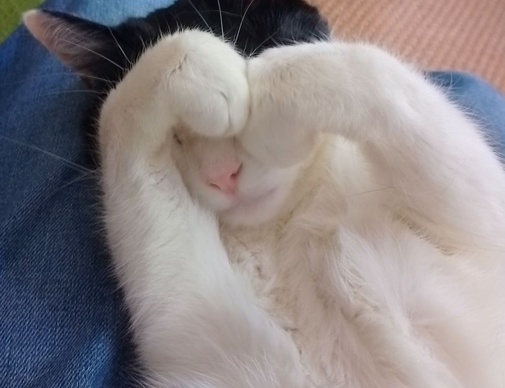 list of gamache books in order