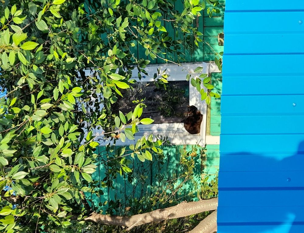 long on top short on sides haircut boys