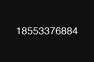 18553376884