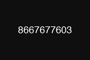 8667677603