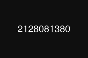 2128081380