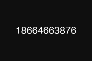 18664663876