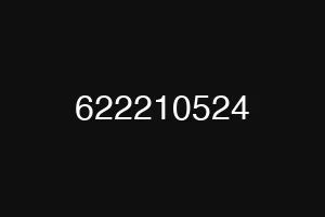 622210524
