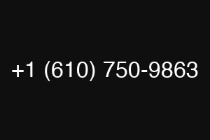 +1 (610) 750-9863