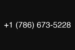 +1 (786) 673-5228
