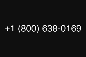 +1 (800) 638-0169