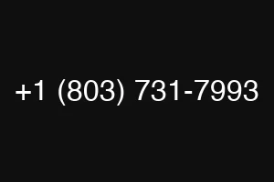 +1 (803) 731-7993