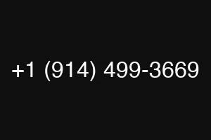 +1 (914) 499-3669