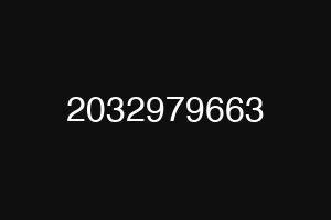 2032979663